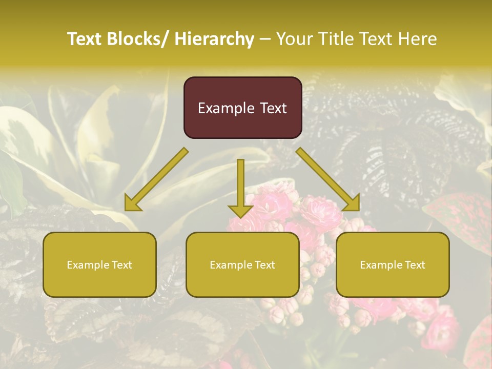 A Bunch Of Plants That Are In The Grass PowerPoint Template