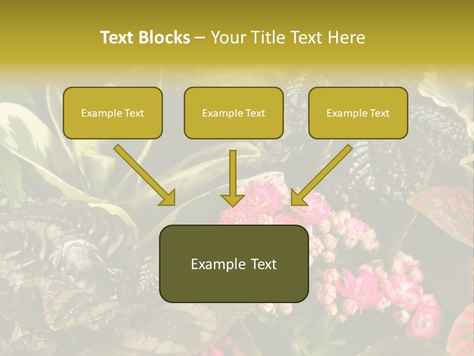 A Bunch Of Plants That Are In The Grass PowerPoint Template