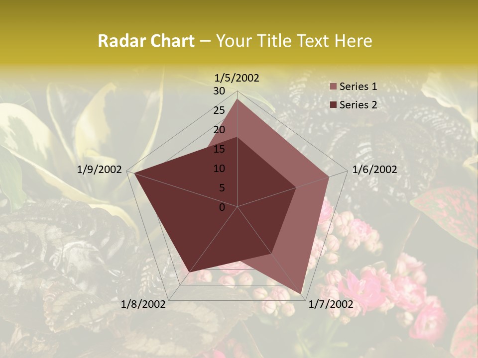 A Bunch Of Plants That Are In The Grass PowerPoint Template
