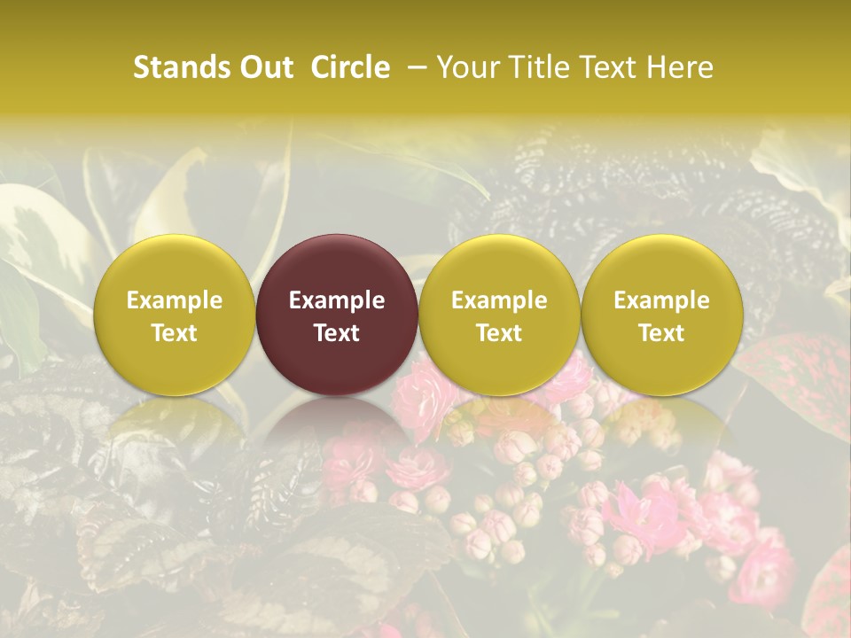 A Bunch Of Plants That Are In The Grass PowerPoint Template