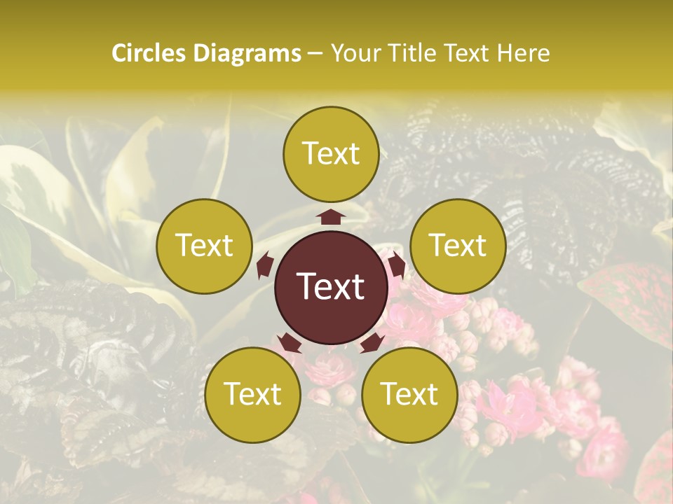 A Bunch Of Plants That Are In The Grass PowerPoint Template