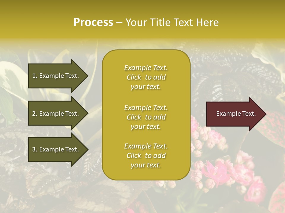 A Bunch Of Plants That Are In The Grass PowerPoint Template
