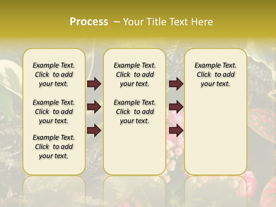 A Bunch Of Plants That Are In The Grass PowerPoint Template