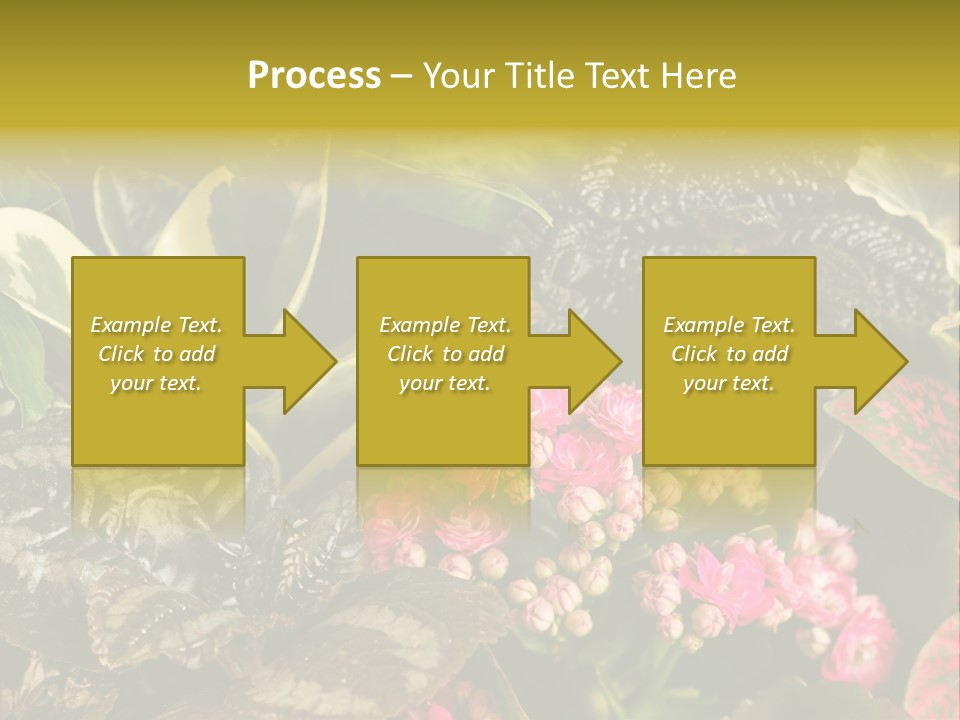 A Bunch Of Plants That Are In The Grass PowerPoint Template