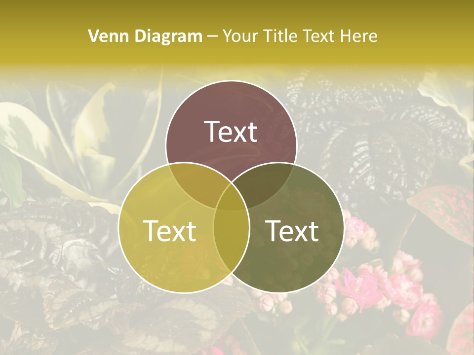 A Bunch Of Plants That Are In The Grass PowerPoint Template