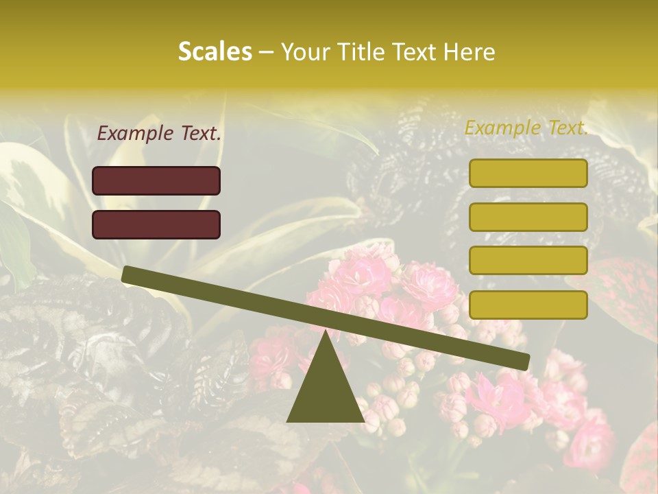 A Bunch Of Plants That Are In The Grass PowerPoint Template