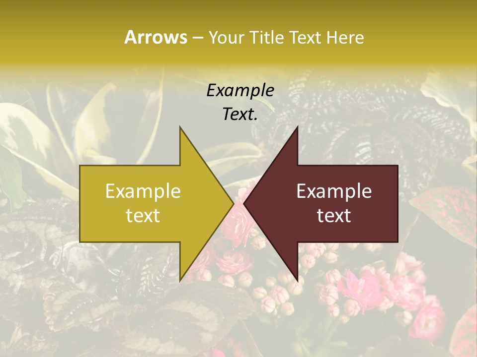 A Bunch Of Plants That Are In The Grass PowerPoint Template