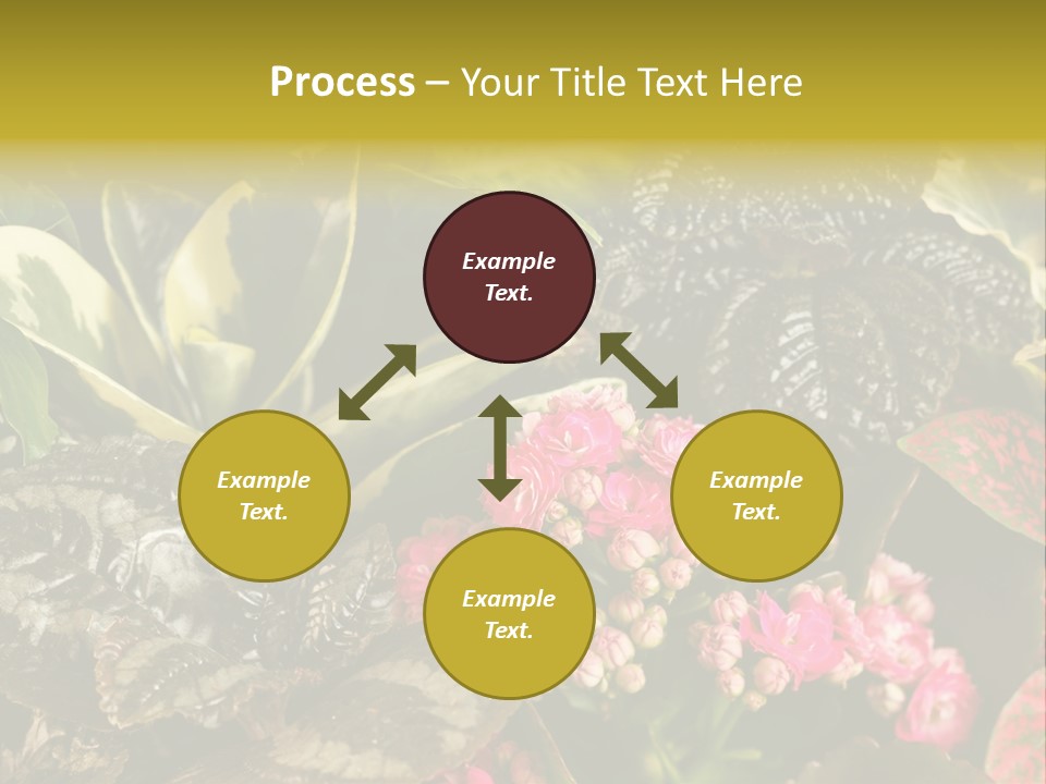 A Bunch Of Plants That Are In The Grass PowerPoint Template