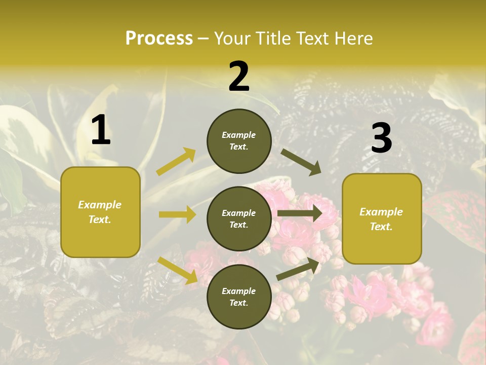 A Bunch Of Plants That Are In The Grass PowerPoint Template