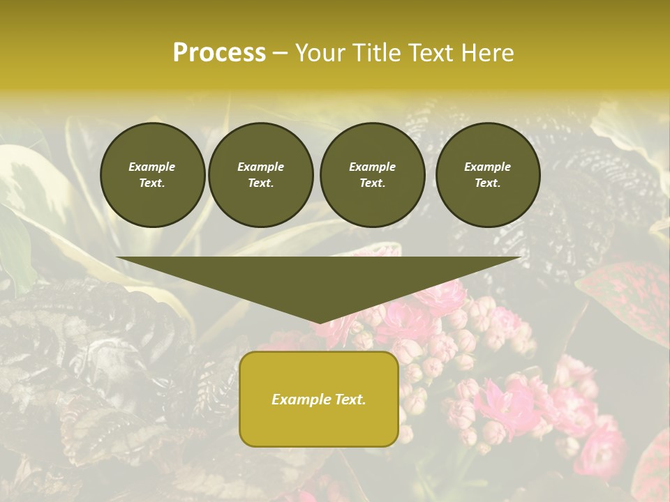 A Bunch Of Plants That Are In The Grass PowerPoint Template