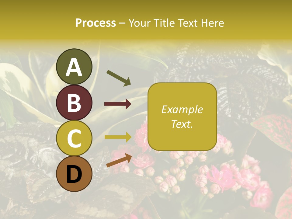 A Bunch Of Plants That Are In The Grass PowerPoint Template