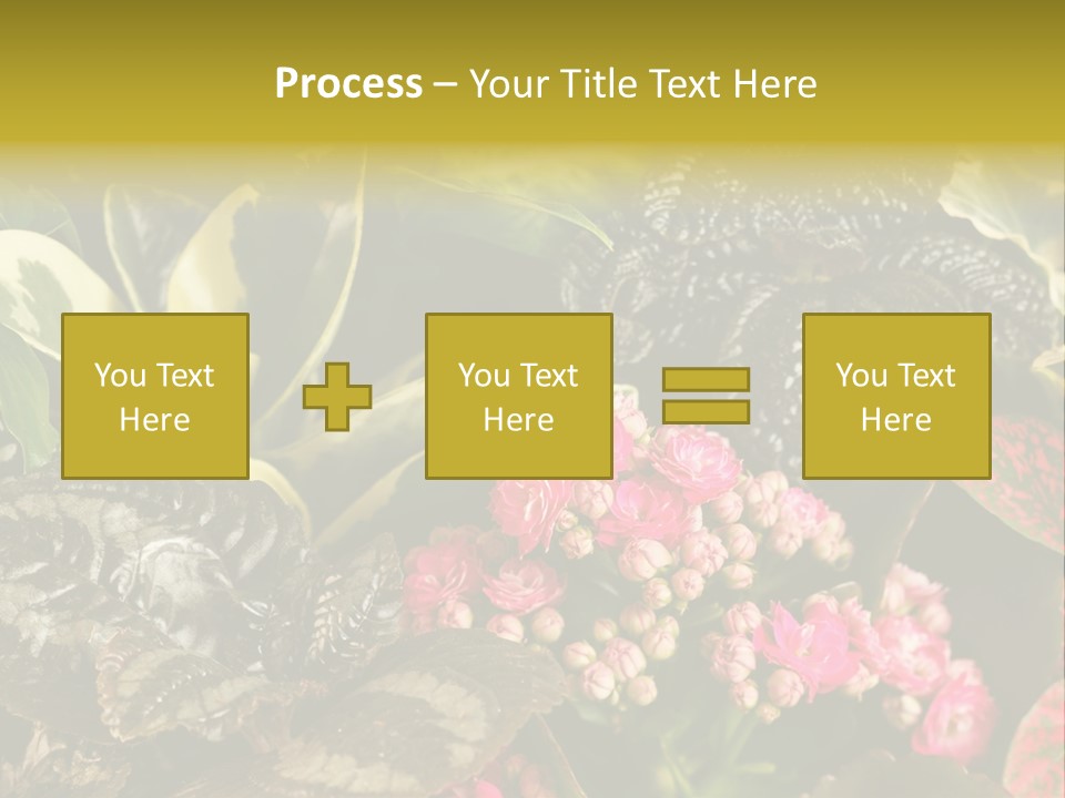 A Bunch Of Plants That Are In The Grass PowerPoint Template