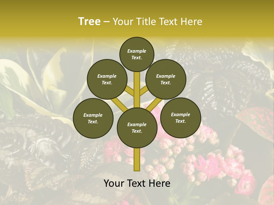 A Bunch Of Plants That Are In The Grass PowerPoint Template