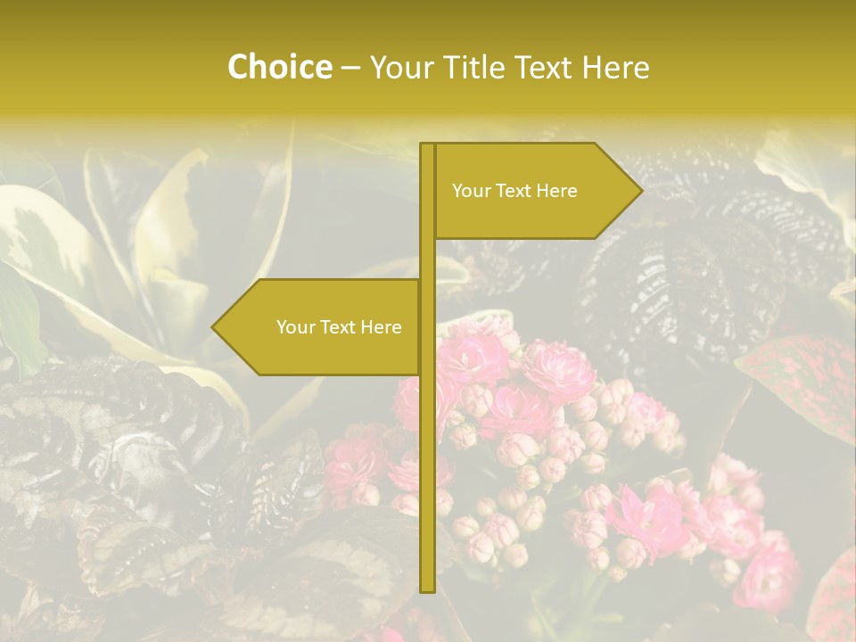 A Bunch Of Plants That Are In The Grass PowerPoint Template