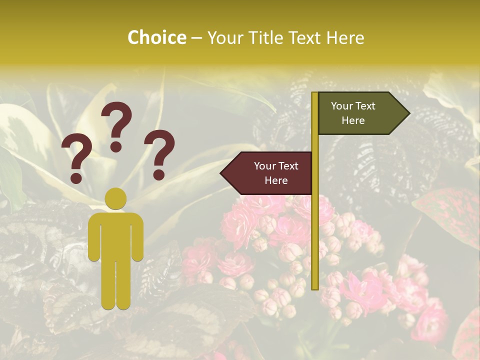 A Bunch Of Plants That Are In The Grass PowerPoint Template