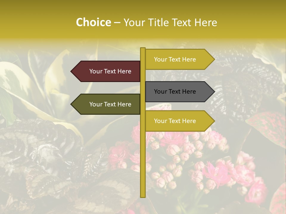 A Bunch Of Plants That Are In The Grass PowerPoint Template