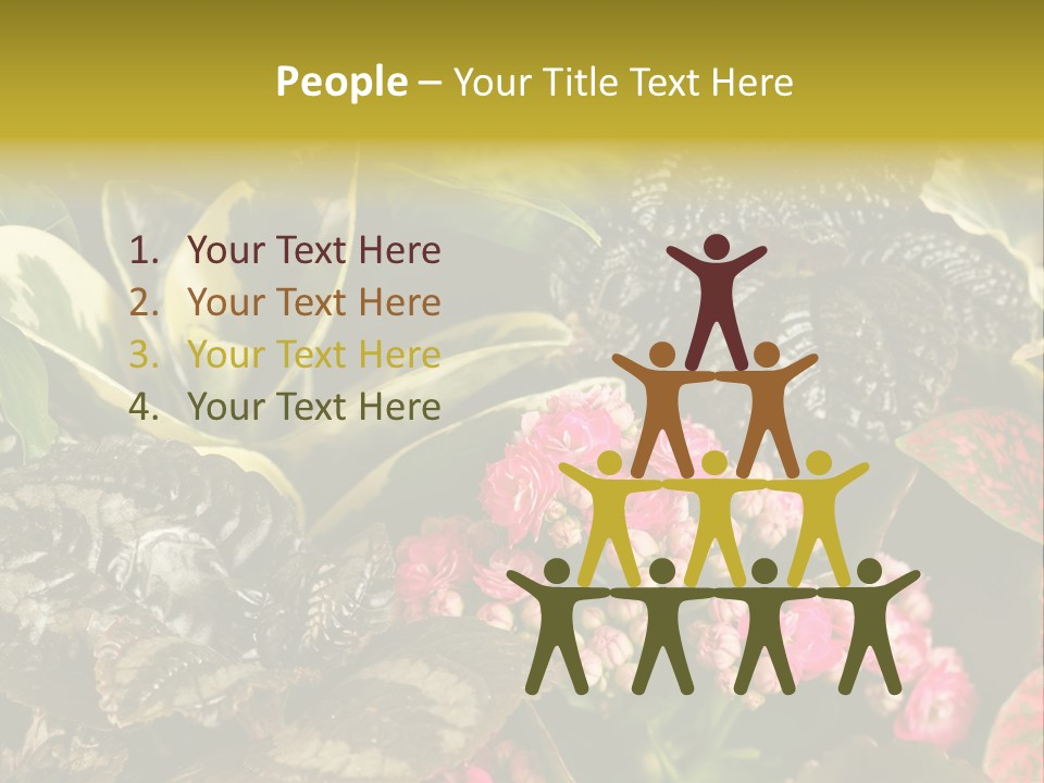 A Bunch Of Plants That Are In The Grass PowerPoint Template