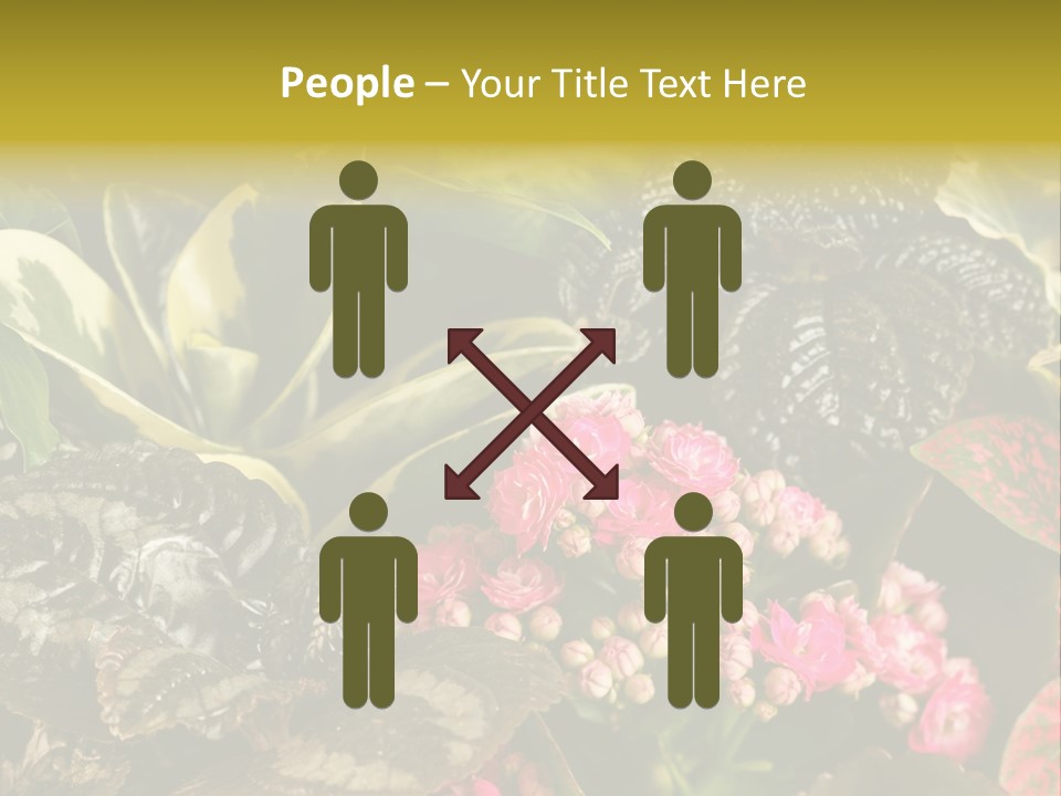 A Bunch Of Plants That Are In The Grass PowerPoint Template