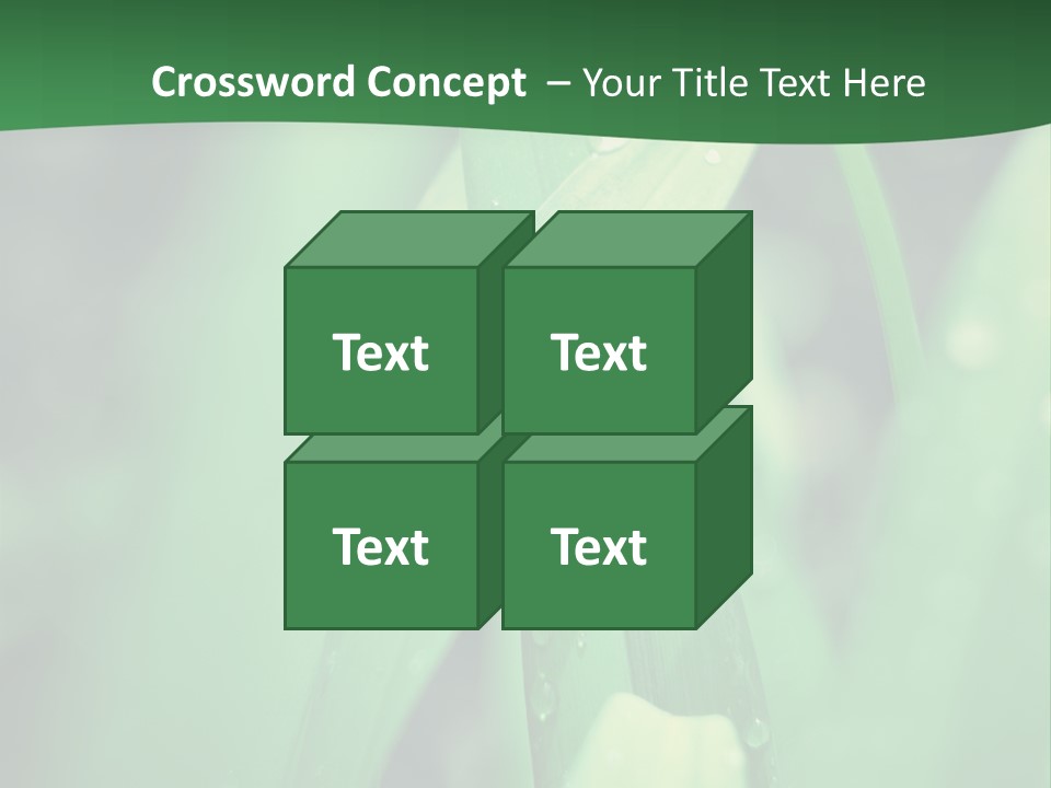 A Green Plant With Drops Of Water On It PowerPoint Template