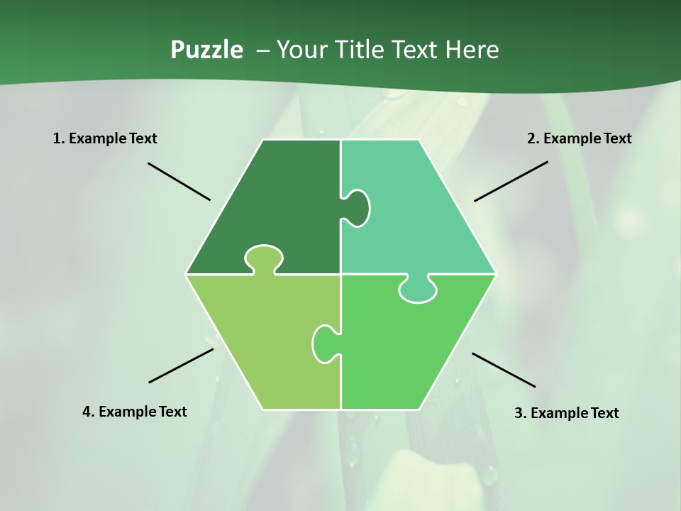 A Green Plant With Drops Of Water On It PowerPoint Template