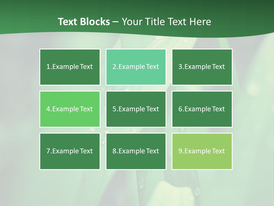 A Green Plant With Drops Of Water On It PowerPoint Template