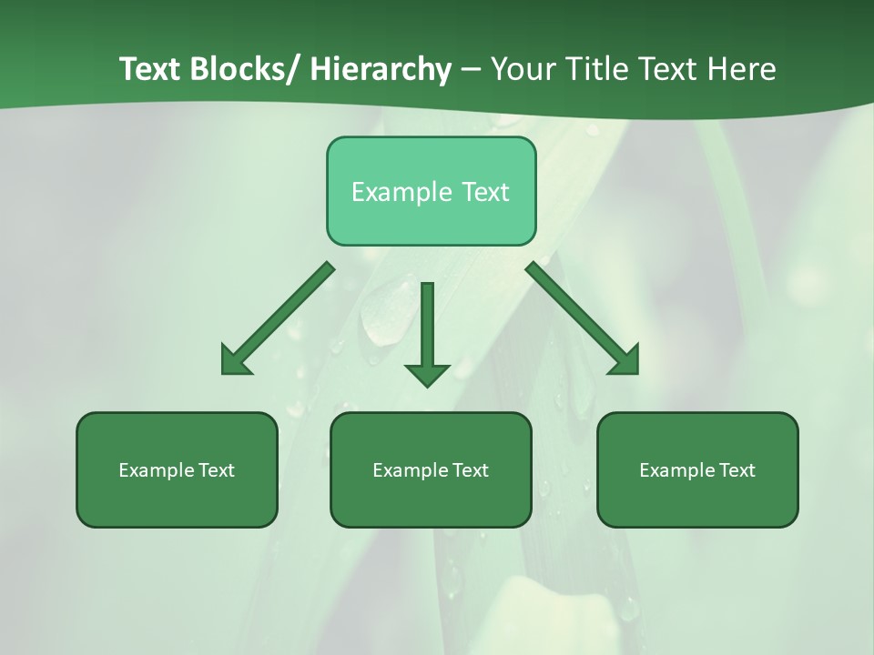 A Green Plant With Drops Of Water On It PowerPoint Template