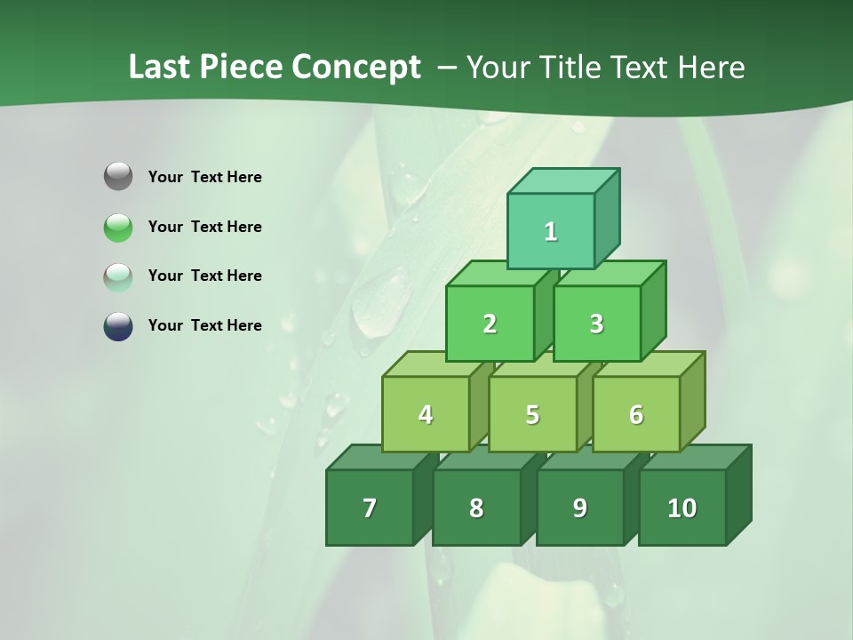 A Green Plant With Drops Of Water On It PowerPoint Template