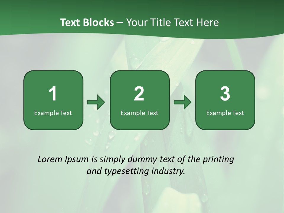 A Green Plant With Drops Of Water On It PowerPoint Template