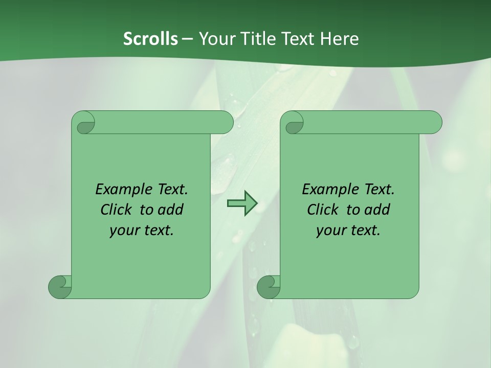 A Green Plant With Drops Of Water On It PowerPoint Template