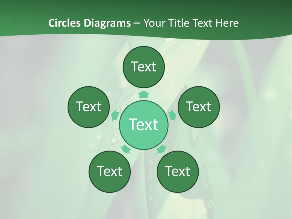 A Green Plant With Drops Of Water On It PowerPoint Template