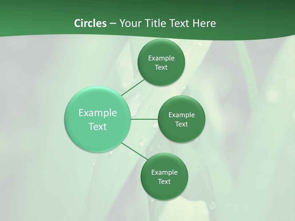 A Green Plant With Drops Of Water On It PowerPoint Template