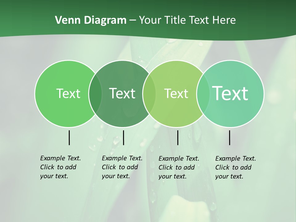 A Green Plant With Drops Of Water On It PowerPoint Template