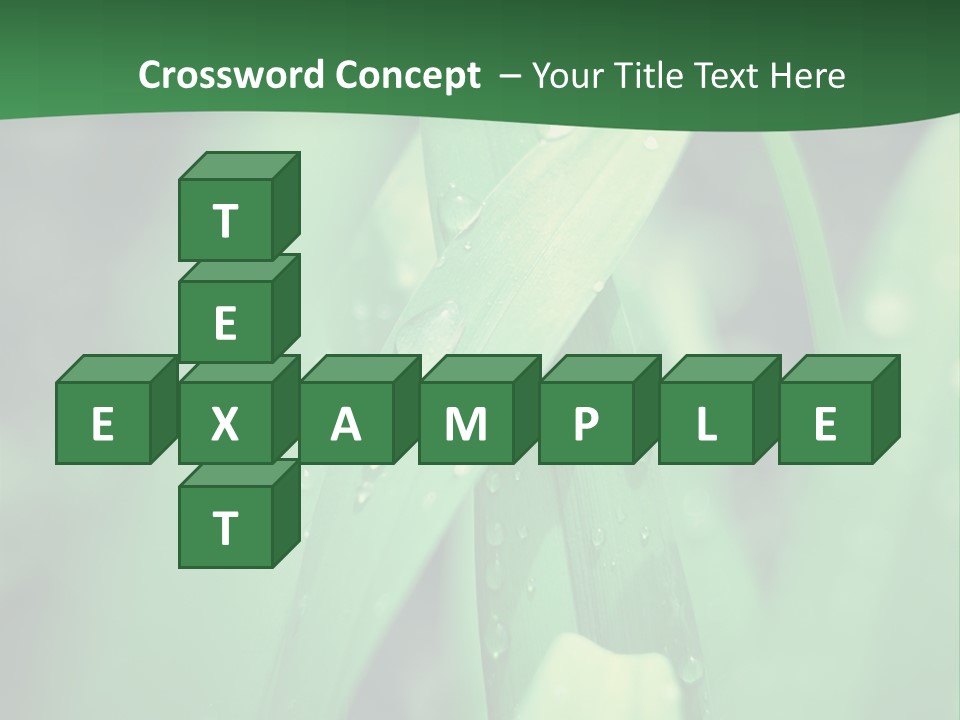 A Green Plant With Drops Of Water On It PowerPoint Template