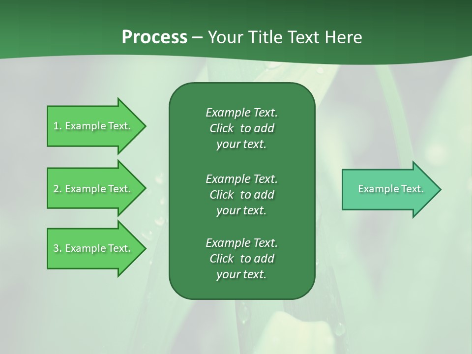 A Green Plant With Drops Of Water On It PowerPoint Template