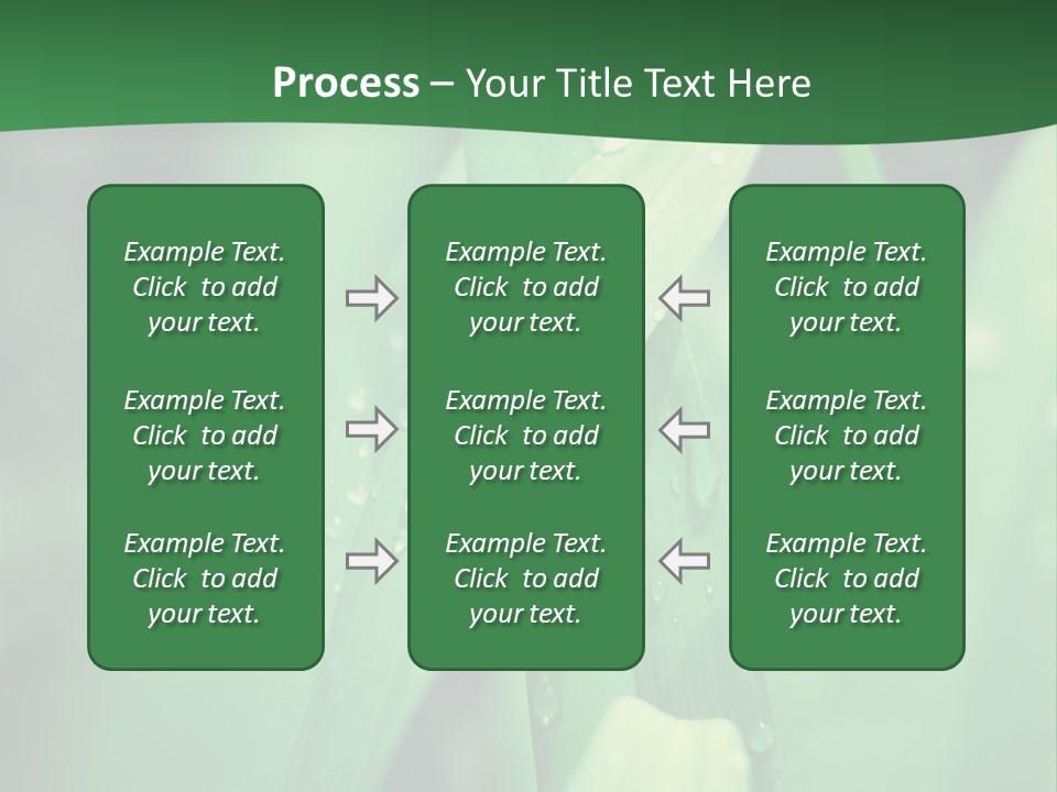 A Green Plant With Drops Of Water On It PowerPoint Template