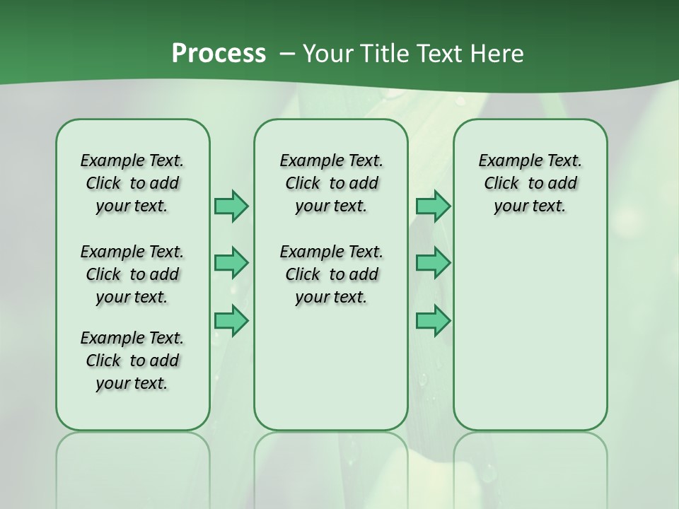 A Green Plant With Drops Of Water On It PowerPoint Template