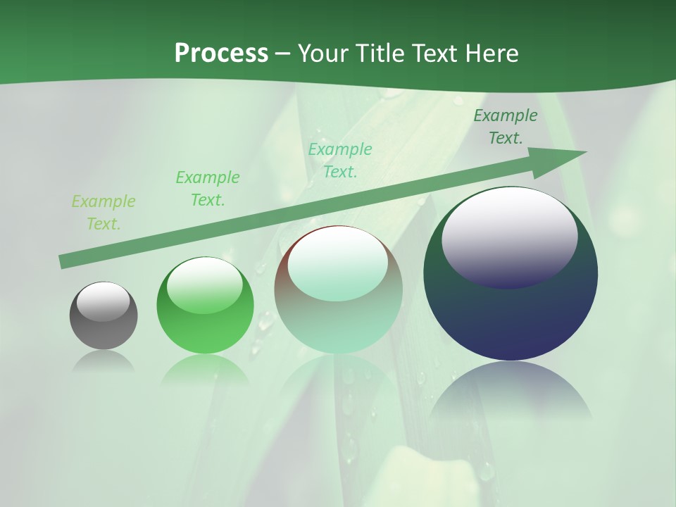 A Green Plant With Drops Of Water On It PowerPoint Template