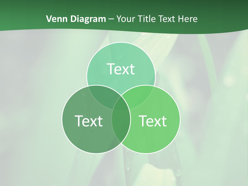 A Green Plant With Drops Of Water On It PowerPoint Template