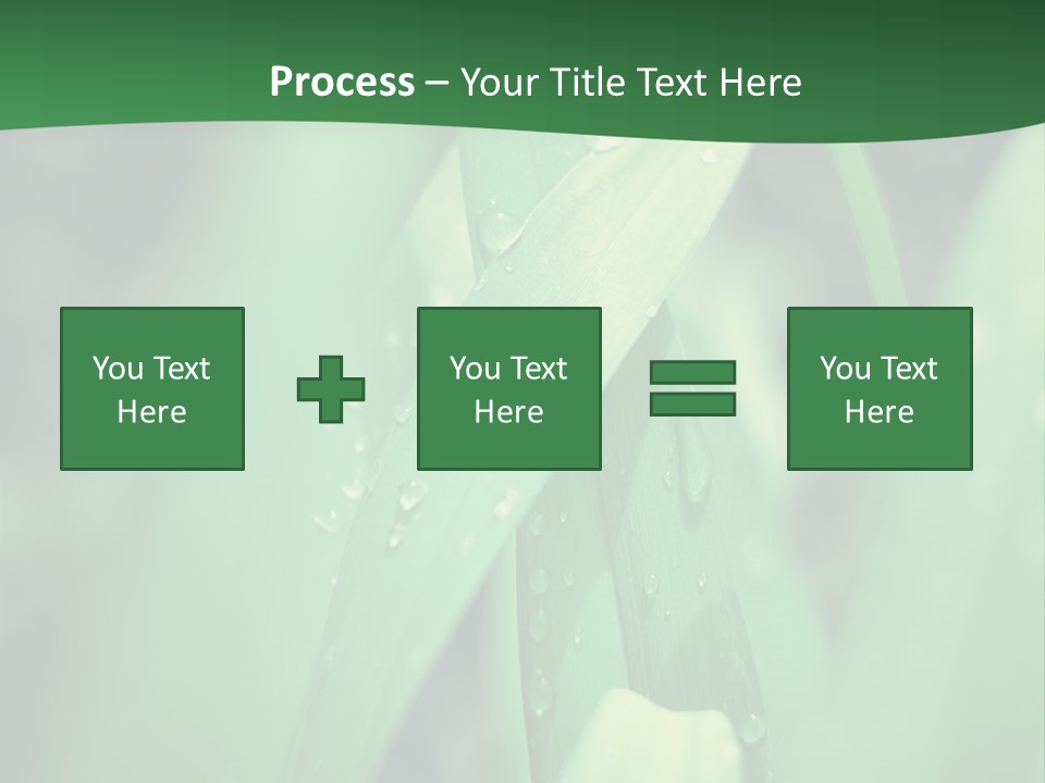 A Green Plant With Drops Of Water On It PowerPoint Template