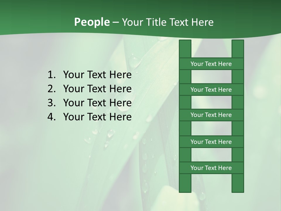 A Green Plant With Drops Of Water On It PowerPoint Template