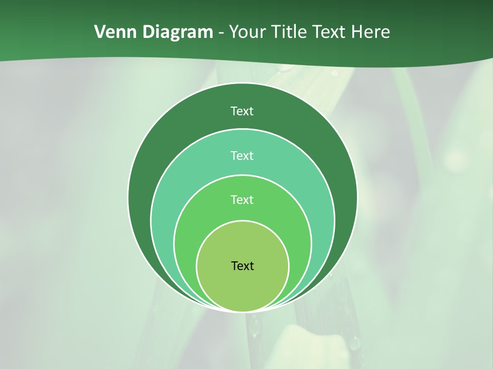 A Green Plant With Drops Of Water On It PowerPoint Template