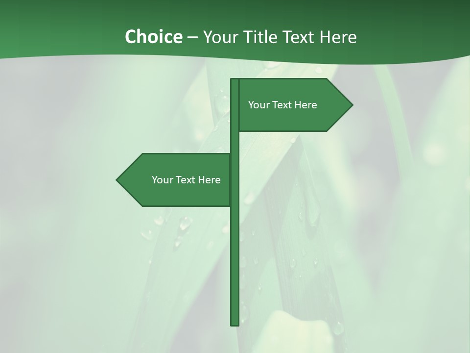 A Green Plant With Drops Of Water On It PowerPoint Template