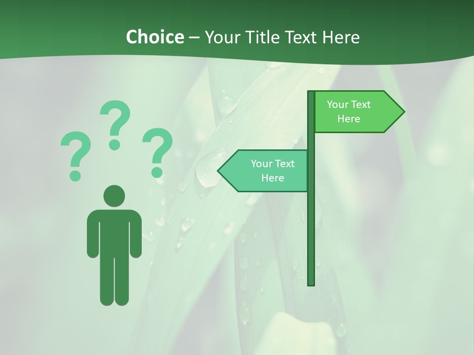 A Green Plant With Drops Of Water On It PowerPoint Template