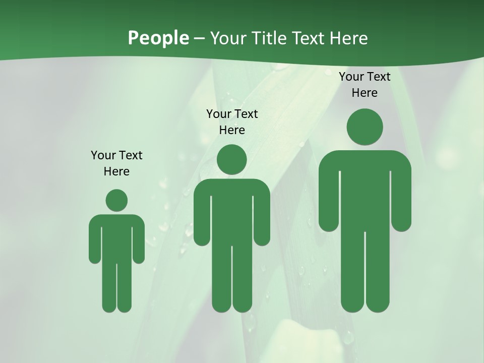 A Green Plant With Drops Of Water On It PowerPoint Template