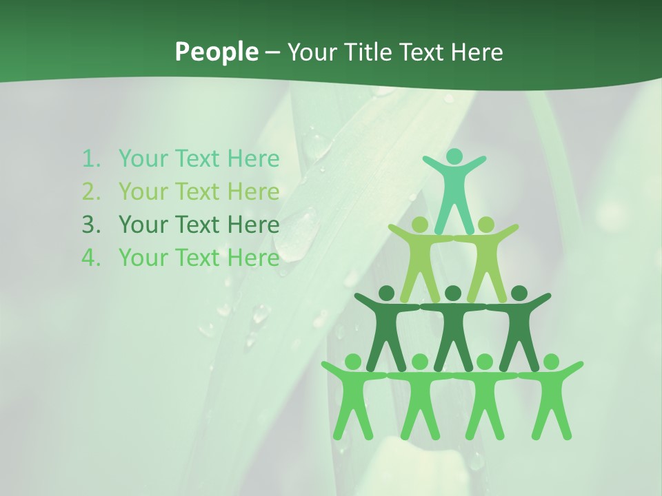 A Green Plant With Drops Of Water On It PowerPoint Template