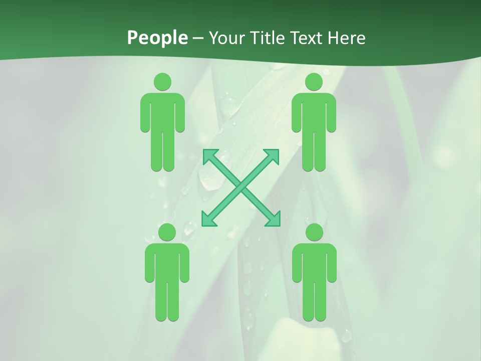 A Green Plant With Drops Of Water On It PowerPoint Template