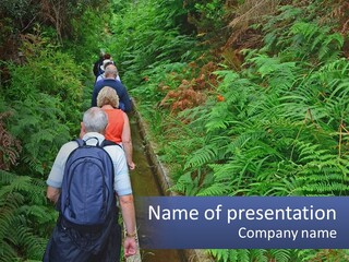 A Group Of People Walking Down A Path In The Woods PowerPoint Template