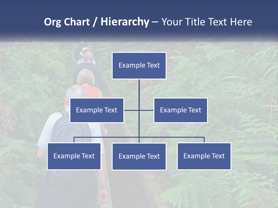 A Group Of People Walking Down A Path In The Woods PowerPoint Template