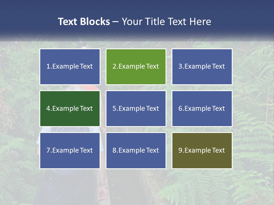 A Group Of People Walking Down A Path In The Woods PowerPoint Template