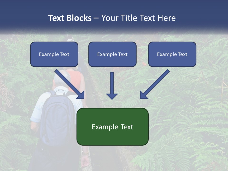 A Group Of People Walking Down A Path In The Woods PowerPoint Template